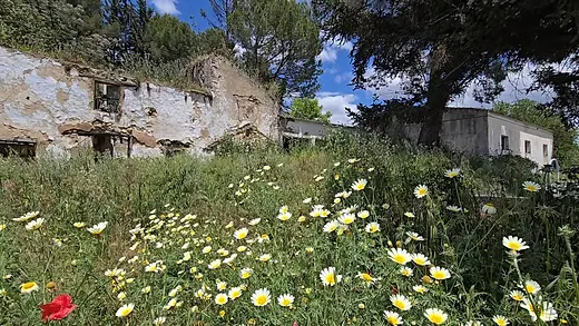 Rural land of 20,000 m² in Setenil de las Bodegas · 5/16