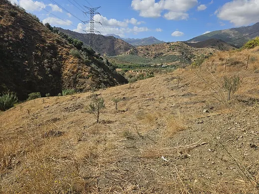 Rural land of 11,395 m² in Casarabonela · 2/11