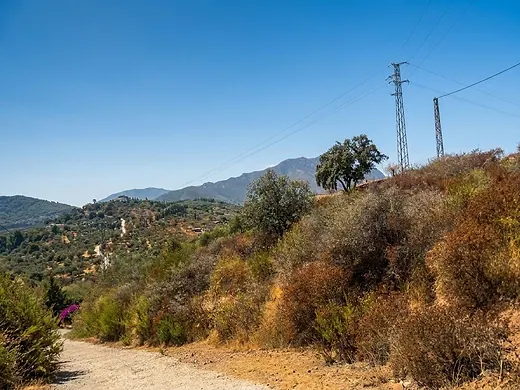 8,089 m² in Monda for only €9,950 – An exceptional opportunity! · 2/7