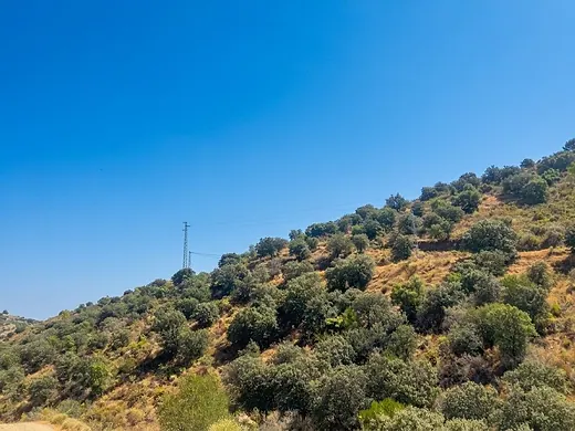 8,089 m² in Monda for only €9,950 – An exceptional opportunity! · 5/7