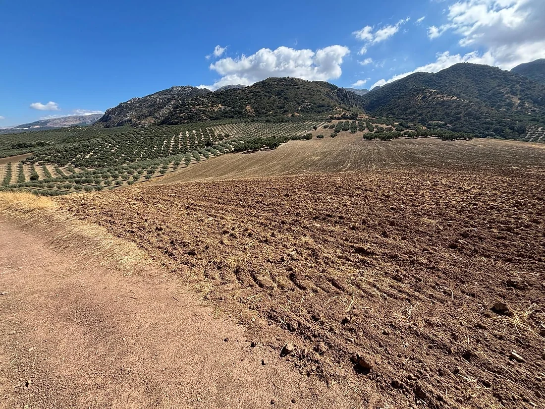 Exceptional 25-hectare irrigated estate in Antequera (Sierra del Nebral) – Features spring water and borders a river and a stream