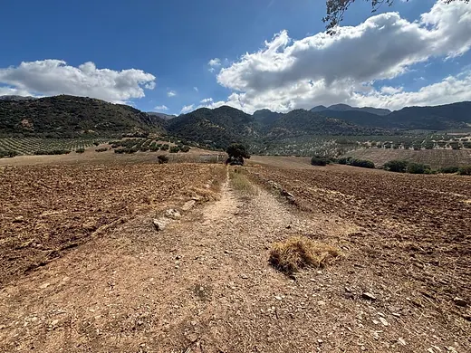 Exceptional 25-hectare irrigated estate in Antequera (Sierra del Nebral) – Features spring water and borders a river and a stream · 4/25